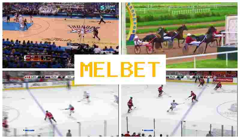 MDLBET 🏀 Gambling Operator, Introductory Bonus