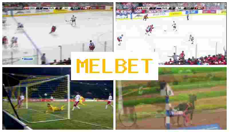 MELBDT 🆕 Betting on Sporting Events