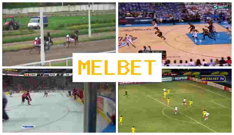 MELBER ☑️ Sportsbook, Online, Betting on Sports
