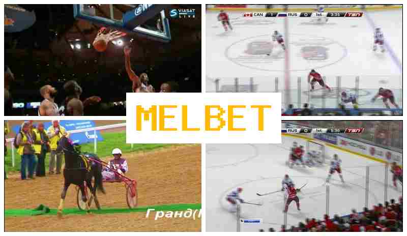 MELBEF 🎾 Live Sports Bets, New Player Bonus, Official Site of the Bookmaker