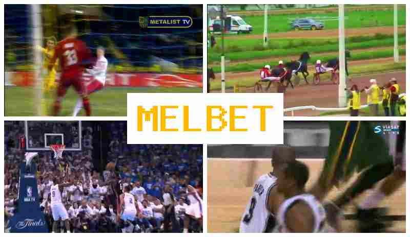 ML BET ▓ Sportsbook Company, Official Site, Promotions and Bonuses, Registration