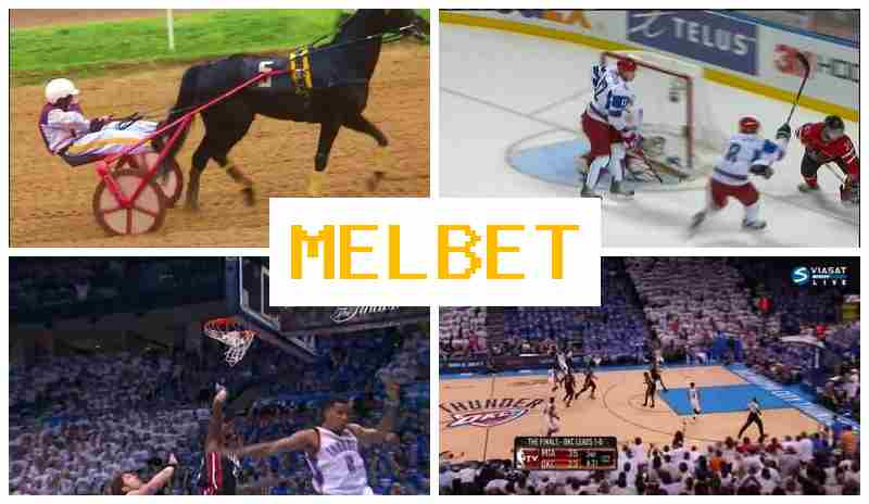 MEL BTE 🏆 Betting Platform, Official Site, Bonuses and Free Bets, Registration