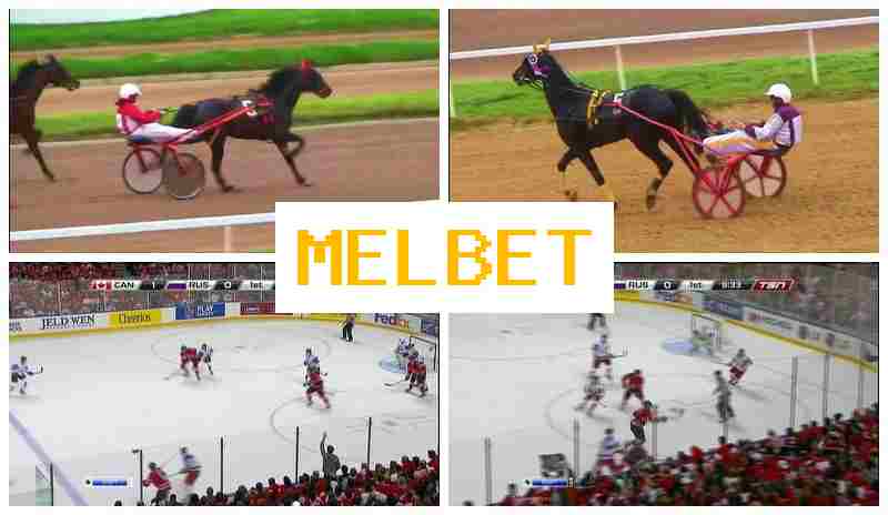 MWL BET 🔵 Place Bets on Sports, Free Bets and Promotions