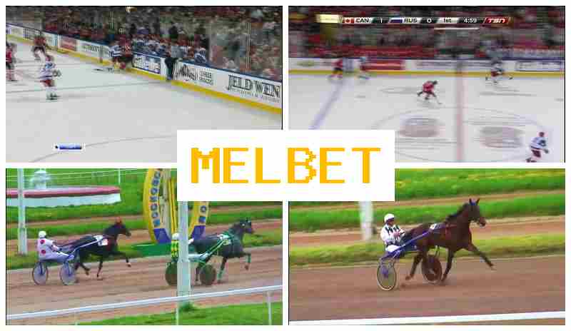 MDL BET ▓ Betting Platform, Official Site, Registration