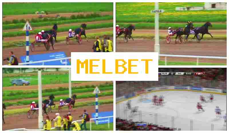 MSL BET 💵 Live Sports Bets, Virtual with High Odds