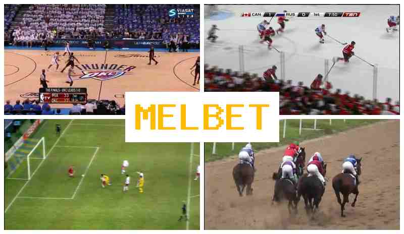 MEO BET 💸 Bookmaker Company, Sign-Up Bonus