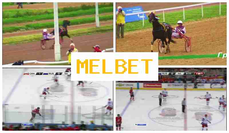 MEELBET █ Wager on Sporting Events, Online with High Odds