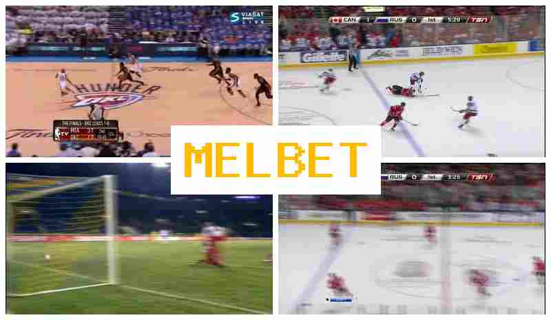 JELBET 💸 Live Betting on Sports offering Premium Odds