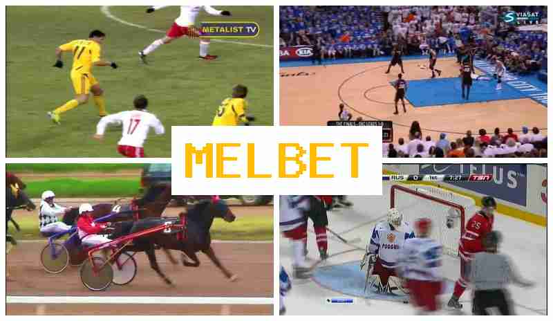 M3LBET 🎇 Bet on Sports, Internet with High Odds