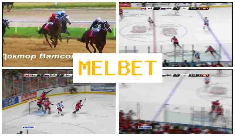 MELVET 🆕 Digital Betting Platform, Sign-Up Bonus