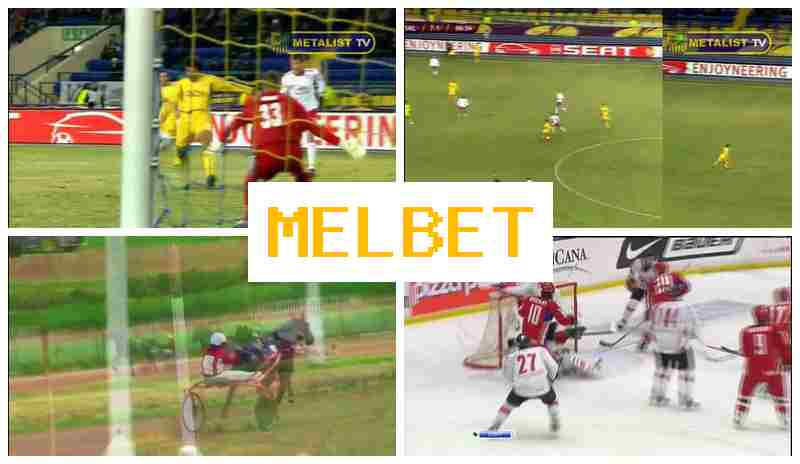MLBET 👍 Official Bookmaker, Register, Access Official Site, Bet on Sports Events