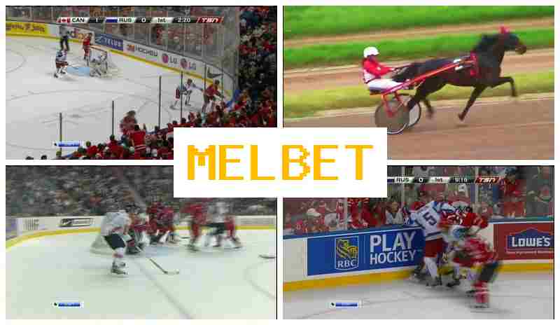 ML BET ▒ Authorized Bookmaker Online, Official Website, Special Offers and Rewards, Sign Up