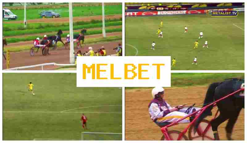 ME BET 👍 Official Sportsbook Platform, Online Sports Bets, Special Offers and Rewards