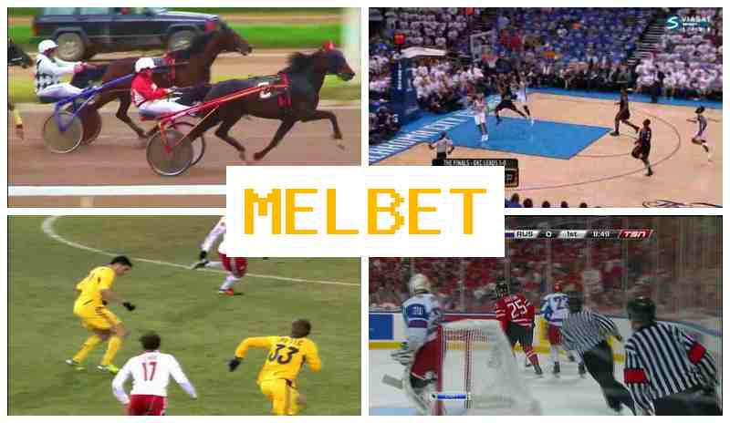 NEL BET 🆓 Virtual Bookmaker, New User Bonus, Sportsbook Bets
