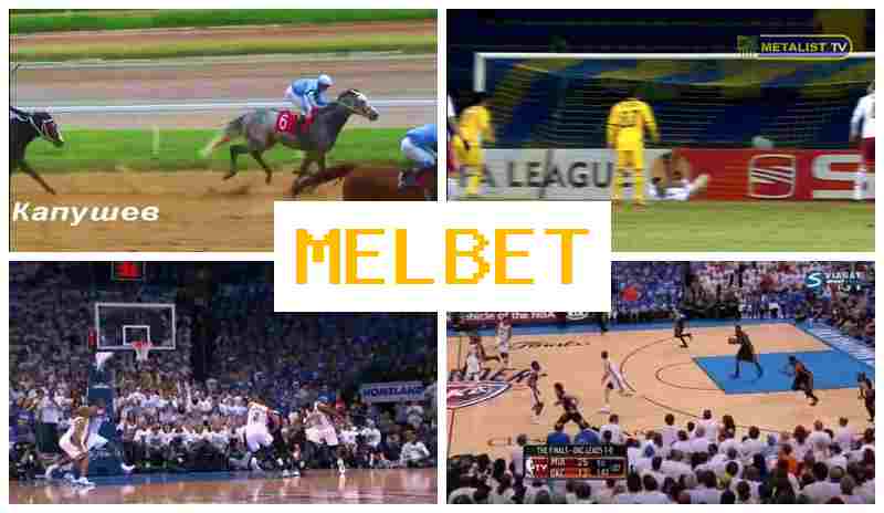 JEL BET 🏆 Sportsbook Online, Sign In, Sign Up, Sports Betting
