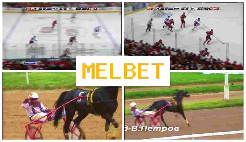MELBT 👍 Betting on Sports