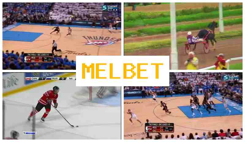 MRL BET 🌐 Wager on Sporting Events, Sign-Up Bonus, Official Site of the Bookmaker