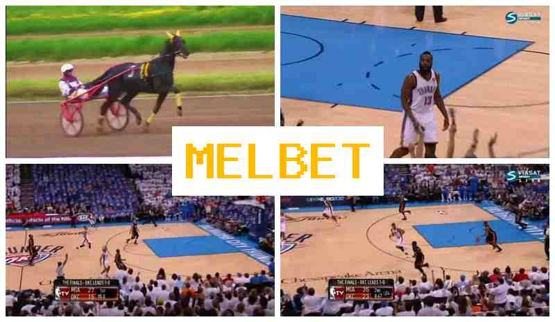 MSL BET 🔔 Bookmaker Company