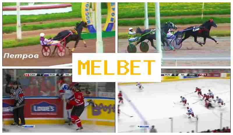 MELBWT 🆓 Sportsbook, Free Bet, Betting on Sports