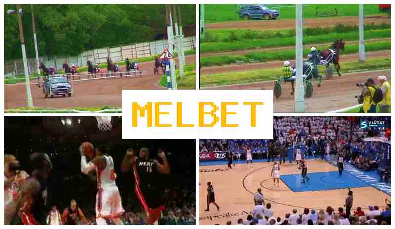 JELBET 💯 Official Sportsbook Platform, Bet on Sports, Bonuses and Free Bets
