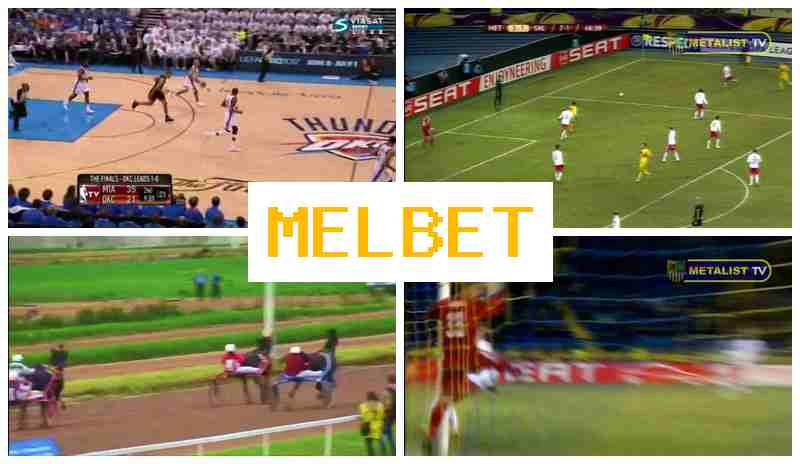 MELVET ▒ Online Bookmaker, Online