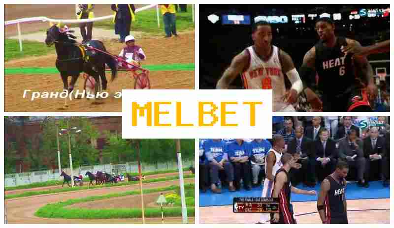 MELB4T 🔵 Bookmaker Company, Official Website