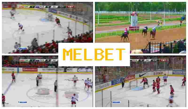 MEL BT 🆕 Live Sports Betting, Free Bets and Bonuses, Official Site