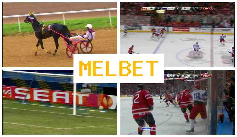 NEL BET 🔵 Sporting Event Bets, Internet Betting, Official Bookmaker Site