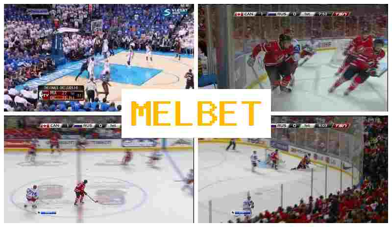 MEO BET ✔️ Official Bookmaker Platform, Place Sports Bets, Promotions and Special Offers