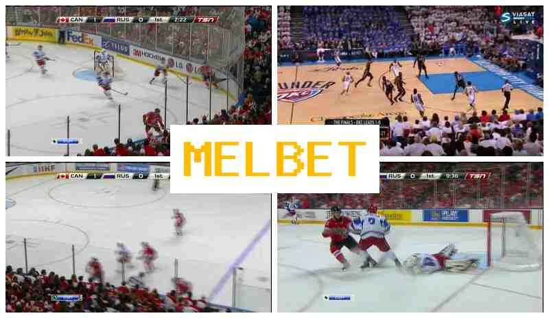 MEL VET 🔹 Sportsbook Company, Official Site, Bonuses and Free Bets, Registration