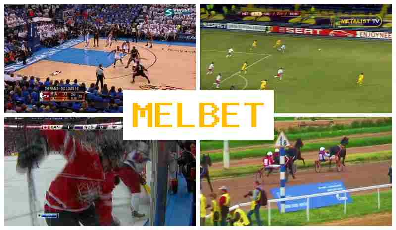 MELBE 🔹 Bookmaker Company, Online, Sports Betting
