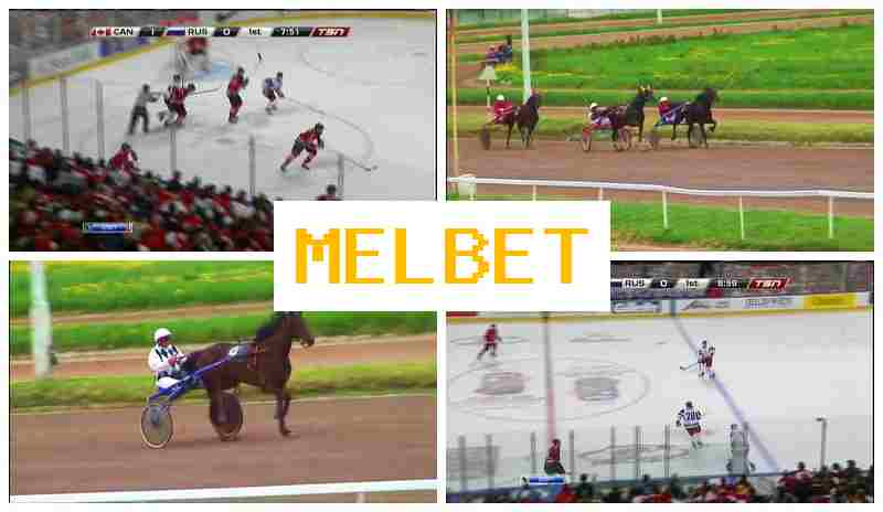 MEL BEG 👍 Betting Office, Online, Deposit Bonus, Official Bookmaker Website