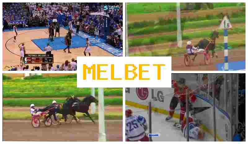MEELBET 🌟 Betting Firm, Official Website