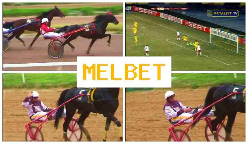 MELEBT 🔵 Place Bets on Sports, Promotions and Bonuses, Official Bookmaker Site