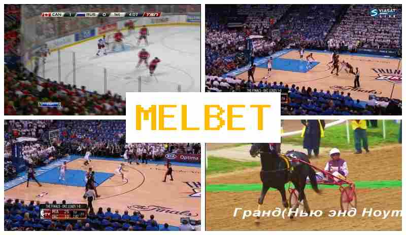 NELBET 🔸 Online Sports Betting, First Deposit Offer