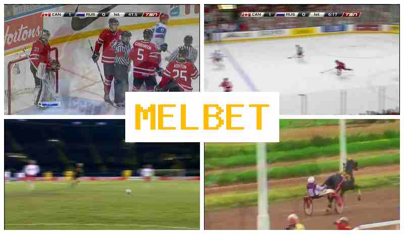 JELBET 💸 Betting Platform, Official Site, Bonuses and Free Bets, Registration
