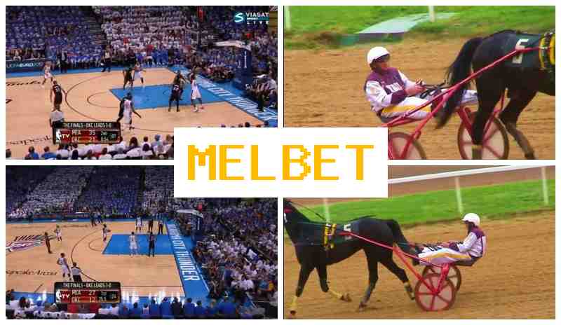MELNET 🎾 Official Bookmaker Platform, Place Sports Bets