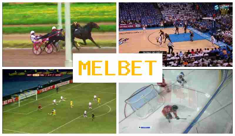 EL BET 💶 Wager on Sporting Events, Virtual with Attractive Odds