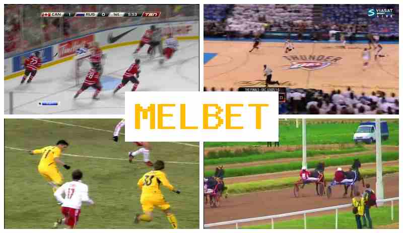 ML BET 🆕 Place Bets on Sports, Digital Sports Bets, Bonus Offers, Official Bookmaker Site