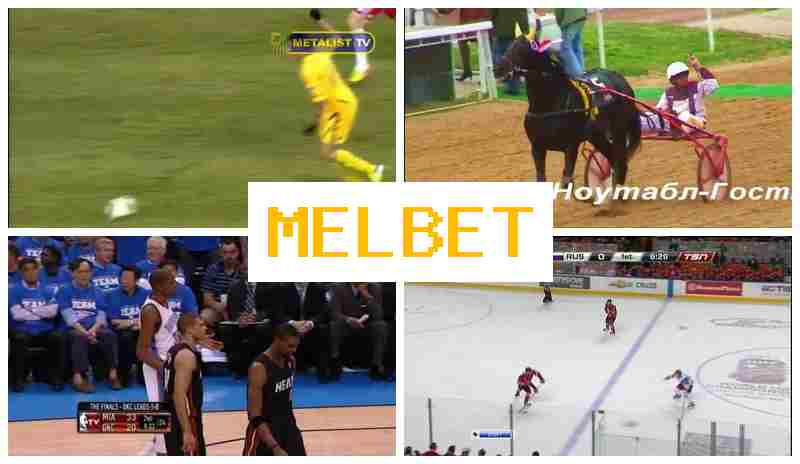 MELL BET 💶 Betting Platform, Official Site, Bonuses and Free Bets, Registration