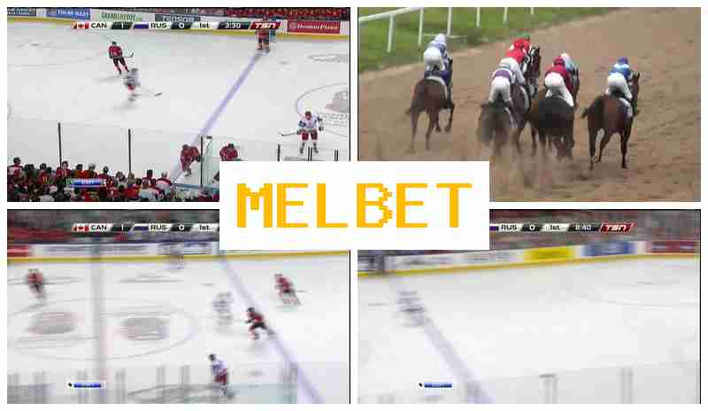 MELET ☑️ Gambling Operator, Bonus on Registration, Verified Site of the Betting Operator