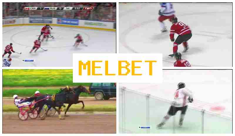 NEL BET 💸 Sportsbook, Sign-Up Bonus