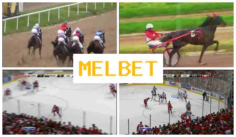 JEL BET 🆓 Betting Operator, Sign-Up Bonus