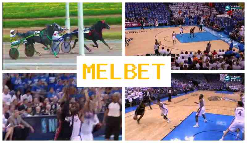 M3L BET 🔹 Live Sports Betting, Special Offers and Rewards