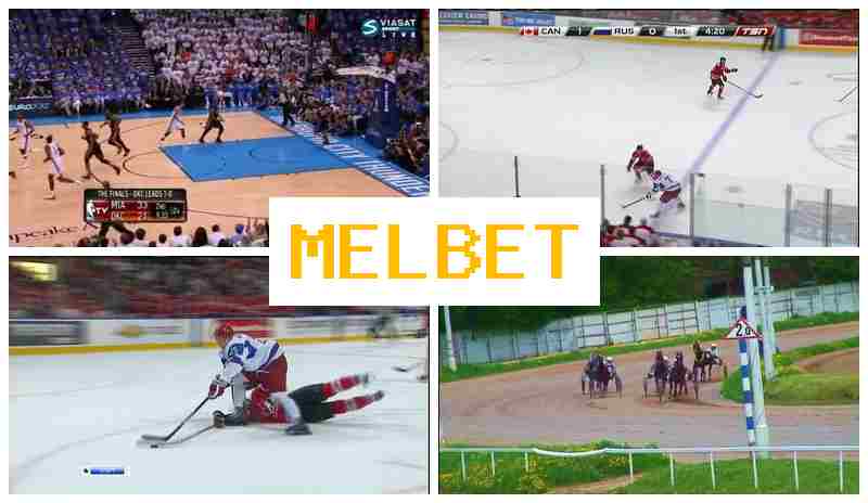MSL BET 🎇 Betting Firm, Online