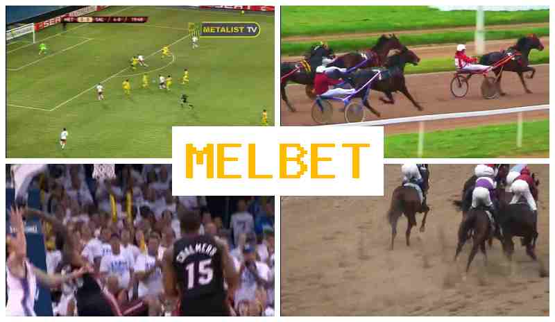 MEP BET 🔷 Online Sports Bets, Special Offers and Rewards