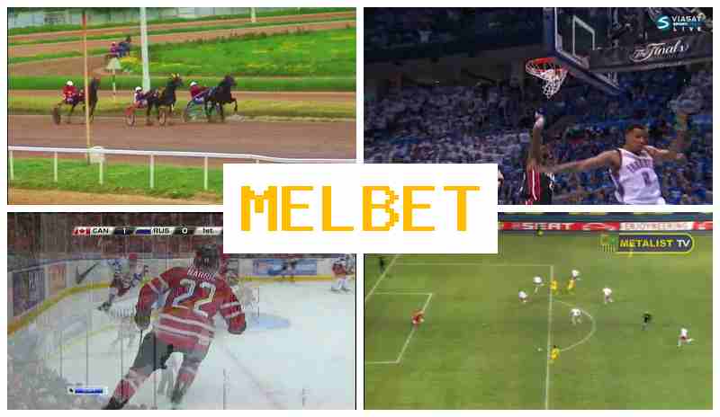 MEL VET 💵 Official Bookmaker Platform, Wager on Sports Live, Exclusive Bonuses