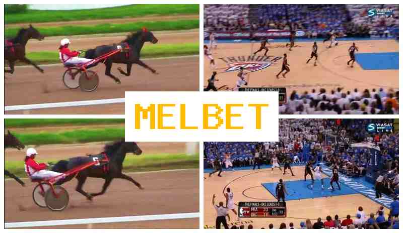 MEL BEG ⚡ Place Bets on Sports, Bonuses and Free Bets, Official Bookmaker Site