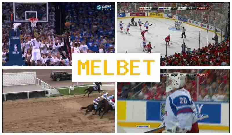 NELBET 🔸 Sports Betting, Bonuses and Free Bets