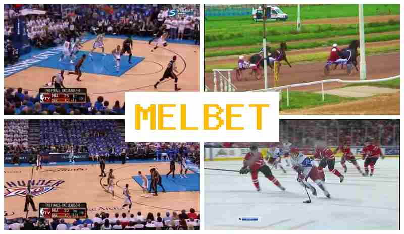 MWLBET 👍 Bookmaker Company, Online